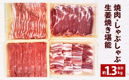大分県産 米の恵 豚 焼肉 しゃぶしゃぶ 生姜焼き 堪能 約1.3kg