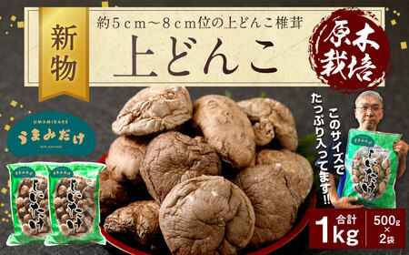 015-154x1 新物 上どんこ 1kg(500g×2袋)椎茸 うまみだけ [2025年4月上旬以降順次発送]