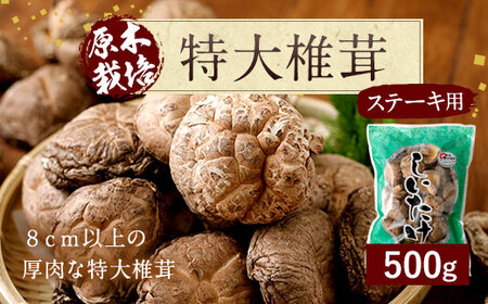 豊後大野市産 特大 椎茸 500g しいたけ 肉厚 特大 ステーキにもおすすめ ベジタリアン ビーガン 菜食 大分県