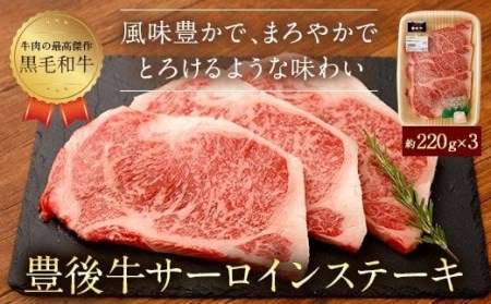 豊後牛 サーロイン ステーキ 合計660g 牛肉