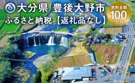 豊後大野市への寄付(返礼品はありません)1口 100万円