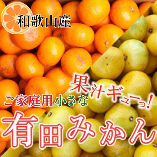 ［先行予約］家庭用 小さな有田みかん10kg+250g（傷み補償分）［2026年10月初旬から2027年1月末日頃順次発送予定］［IKE223］