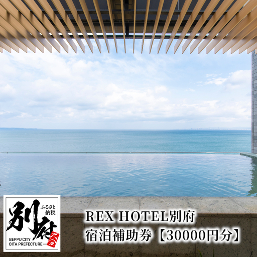 REX HOTEL別府　宿泊補助券【30000円分】_B136-001