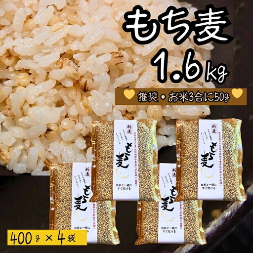もち麦 【1.6kg】 そのままごはんと一緒にすぐ炊ける 8ぶづき ～栽培期間中 化学肥料 農薬不使用～G15-11 