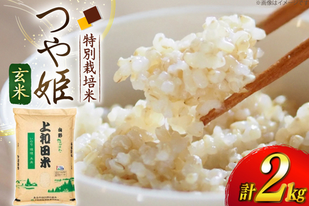 令和7年度 特別栽培米 つや姫 玄米 2kg