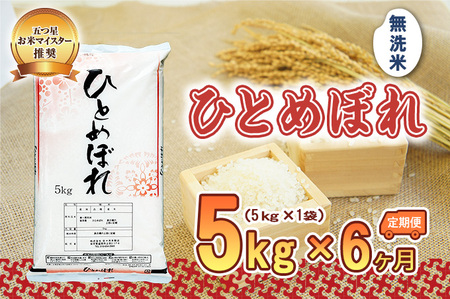 ひとめぼれ 無洗米 5kg 米 定期便 6回 6ヶ月 連続 お届け 30kg 盛岡市産 いわて米 ブランド米 精米 白米 米 お米 こめ コメ ライス ご飯 ごはん 美味しい おすすめ贈り物 国産 産地直送 盛岡 佐々木米穀店
