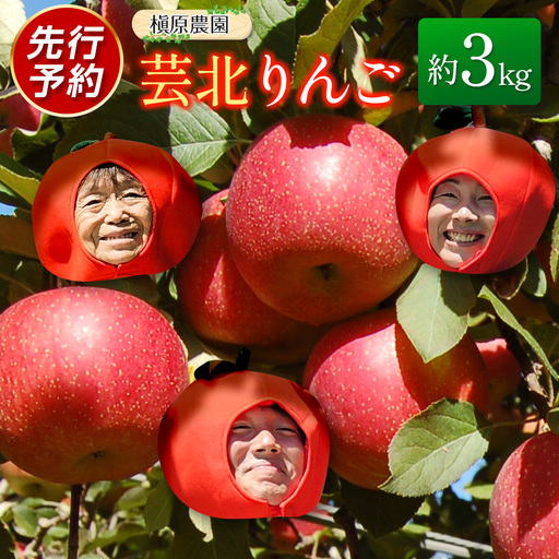 ≪10月中旬以降発送≫りんご 国産 3kg 農家直送 槇原農園 芸北りんご 林檎 トキ 早生ふじ 千秋 シナノドルチェ シナノスイート ぐんま名月 シナノゴールド ふじ_MA077_001