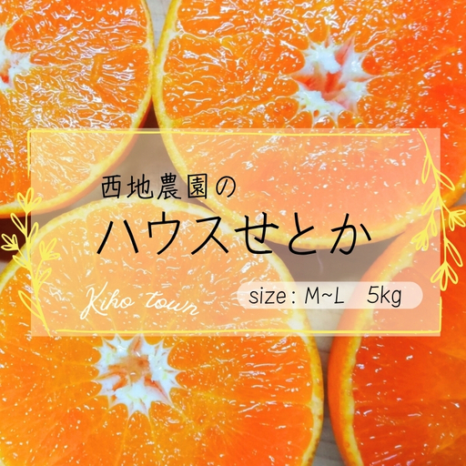 せとか 西地農園のハウスせとか 5kg L〜Mサイズ[mnd004C]