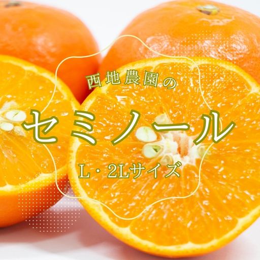 セミノール L 2L みかん 蜜柑 柑橘 5kg / L・2Lサイズのみ 西地農園のセミノール 5kg[2027年3月中旬から順次発送][mnd005C]