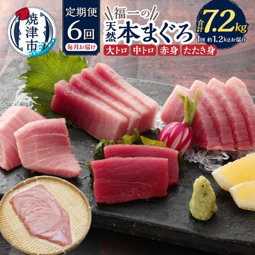 定期便 天然本まぐろ 6回お届け (b300-015)