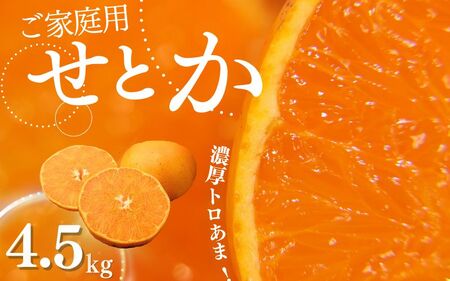 せとか たにぐち農園のせとか 4.5kg ご家庭用[mtn012C]