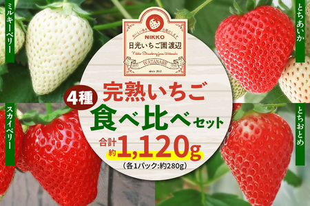 【先行予約】  日光の自然が育む4種類の「完熟いちご」 食べ比べ！ Aセット 【2026年12月より順次発送】 [0955]
