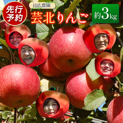 ≪10月中旬以降発送≫りんご 国産 3kg 農家直送 山広農園 芸北りんご 林檎 秋映 シナノスイート 陽光 ぐんま名月 王林 シナノゴールド ふじ_YA023_001