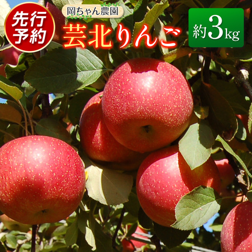 ≪10月中旬以降発送≫りんご 国産 3kg 農家直送 岡ちゃん農園 芸北りんご 林檎 夢つがる 秋映 とき すわっこ シナノスイート 陽光 ぐんま名月 シナノゴールド ふじ_OK066_001