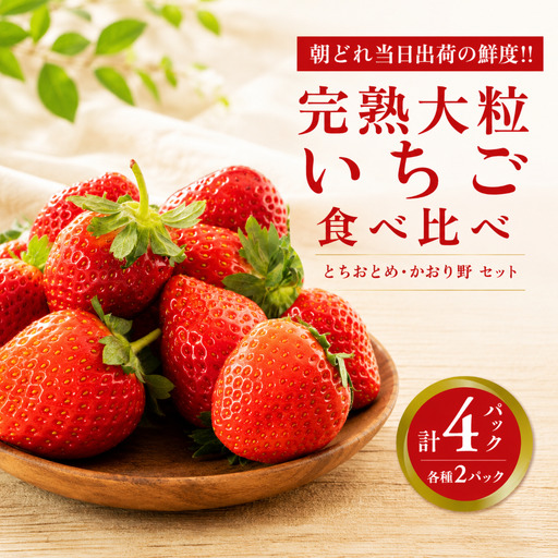 いちご 食べ比べ 4パック かおり野 ・ とちおとめ 