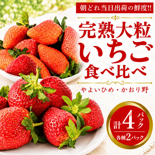 いちご 食べ比べ セット 4パック かおり野 ・ やよいひめ 