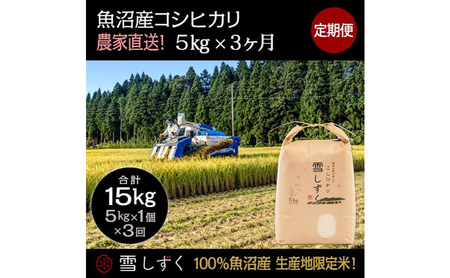 【令和7年産】定期便！魚沼産コシヒカリ【合計15kg】毎月5kg×3回 お米 ブランド米 銘柄米 精米 白米 ご飯 おにぎり お弁当 和食 産地直送 