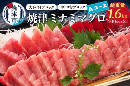 焼津ミナミマグロAコース (a60-018)