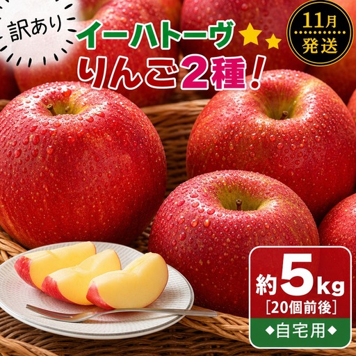 訳あり りんご イーハトーヴ 約5kg 11月より発送予定 [280-11]