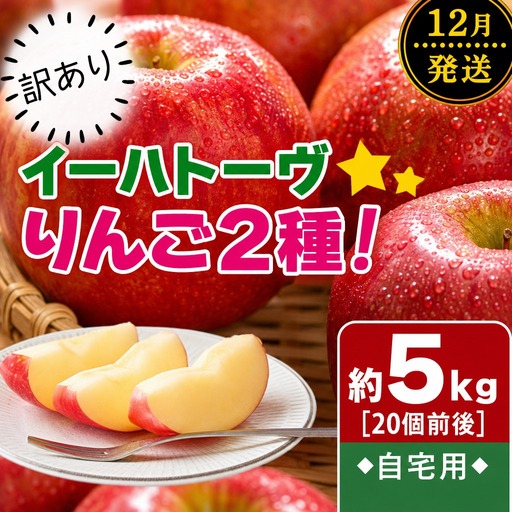 イーハトーヴ 訳アリ りんご 約5kgセット[12月より発送予定/予約受付] [280-12]
