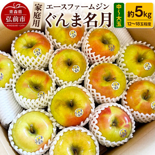 [26年10月下旬〜発送]りんご家庭用ぐんま名月 約5kg(中玉〜大玉12玉〜18玉程度)[先行受付] 青森 果物 フルーツ 林檎 リンゴ くだもの 予約