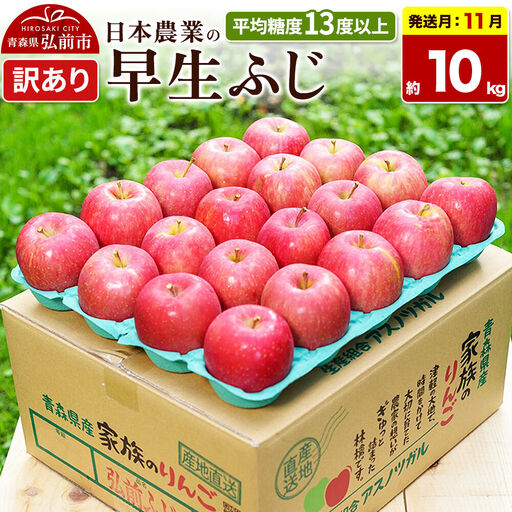 【26年11月発送】りんご 早生ふじ【訳あり】約10kg 平均糖度13度以上 青森 果物 フルーツ 林檎 リンゴ くだもの 不揃い 規格外