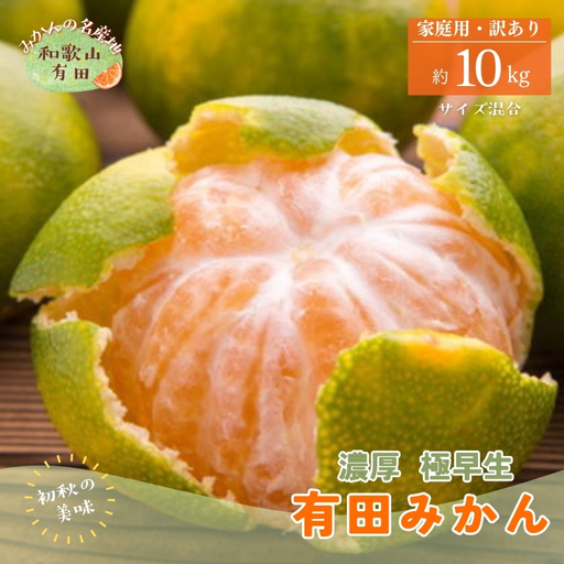 【初秋の美味】ご家庭用ゆら早生有田みかん　約10kg+200g(傷み補償分)【サイズ混合】【2026年10月中旬～11月上旬頃に順次発送予定】【ard053C】