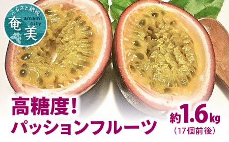 【 2026年 先行予約 】 高糖度 パッションフルーツ 約1.6kg A059-005