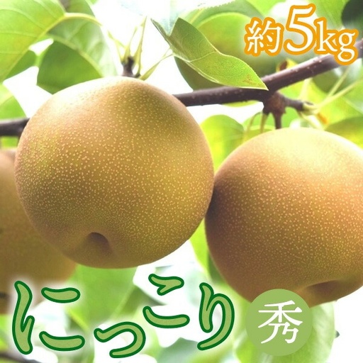 14-8[期間限定]梨(にっこり)秀 約5kg(7玉程度) | なし フルーツ 果物 新鮮 デザート ※2026年10月〜発送