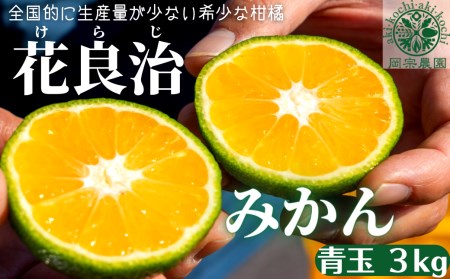 【先行予約】【数量限定】  花良治みかん (青玉) 3kg ｜  みかん
