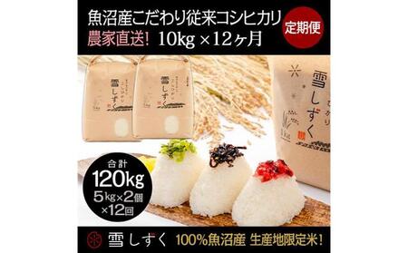 【令和7年産】定期便！魚沼産こだわり従来コシヒカリ【合計120kg】毎月10kg×12回 ブランド米 銘柄米 白米 精米 ご飯 おにぎり お弁当 