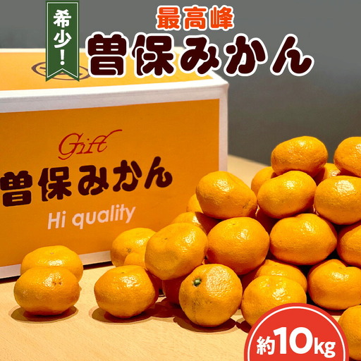 曽保みかん (約10kg)