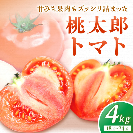 桃太郎トマト4kg(18玉〜24玉)[ほたるの里]