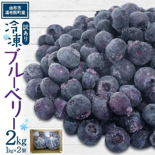 【由布市湯布院町産】 訳あり 冷凍ブルーベリー 2kg（1kg×2個）