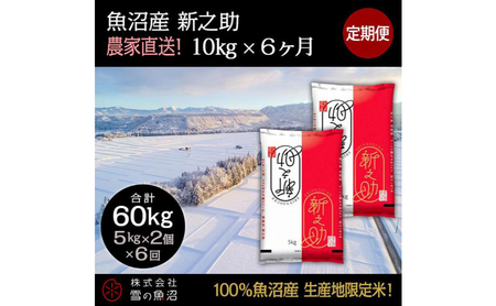 【令和8年産】定期便！魚沼産 新之助【合計60kg】10kg×6回 お米 米 こめ コメ