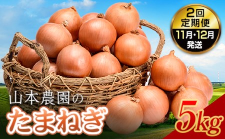 北海道産 たまねぎ 「山本農園のたまねぎ」L〜L大サイズ前後 5kg 2回定期便（11月・12月発送） 南幌町 国産 NP1-153