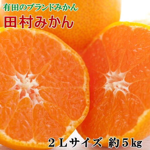 【ブランドみかん】田村みかん約5kg（2Lサイズ・秀品）【2026年11月下旬～2026年12月下旬頃に順次発送】【tec882A】