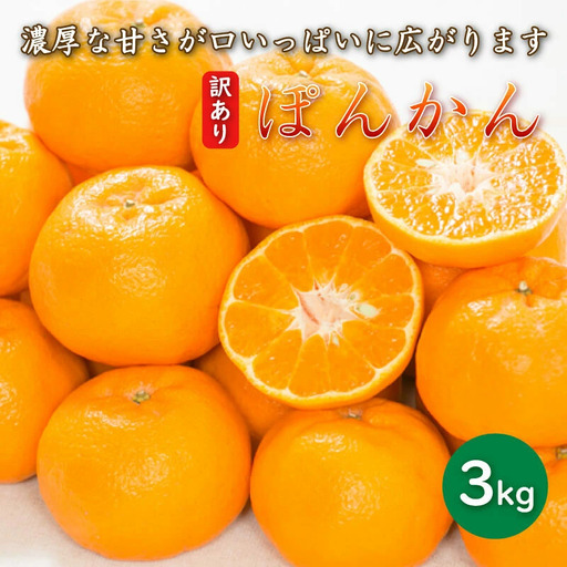 [先行予約]訳あり 減農薬 ポンカン 3kg 愛南フルーツ [2027年1月中旬〜発送開始]