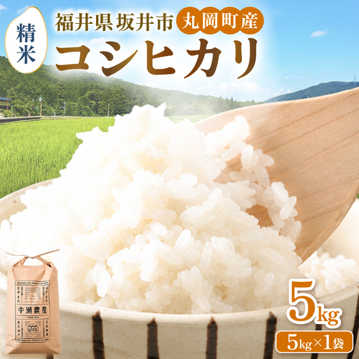 令和8年産・新米 コシヒカリ 計5kg（精米） [A-11309_03]