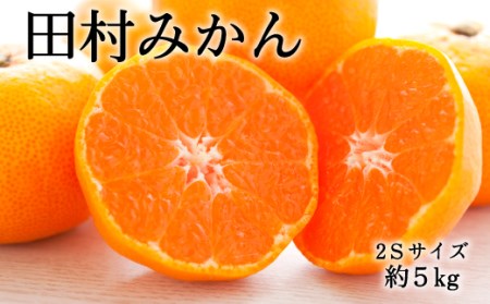 【ブランドみかん】田村みかん約5kg（2Sサイズ・秀品）★2026年11月下旬～2026年12月下旬頃より順次発送 / みかん 果物 フルーツ 柑橘 オレンジ ミカン 和歌山【tec881A】