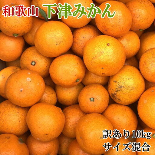 【訳あり】和歌山下津みかん約10kgご家庭用向け(サイズ混合) ※2026年11月中旬～2027年1月中旬頃に順次発送【tec885A】