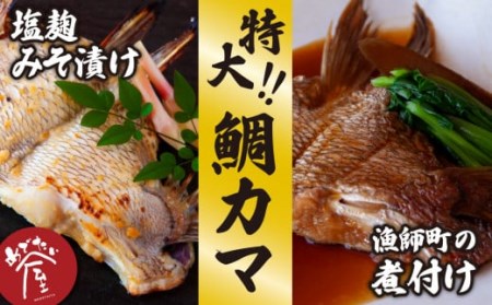 鯛 専門店の 大きな鯛カマ2種 [塩麹みそ漬け/煮付け](約500g)ME-71