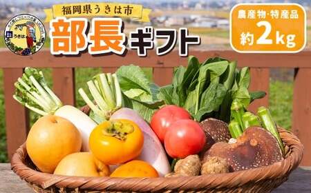 道の駅 うきは 部長ギフト (新鮮な農産物・特産品 約2kg) 野菜 ベジタブル 果物 くだもの フルーツ 農産物 特産品 特産 新鮮 フレッシュ 朝採れ 詰め合わせ 詰合せ セット ミックス お取り寄せ 福岡県 うきは市