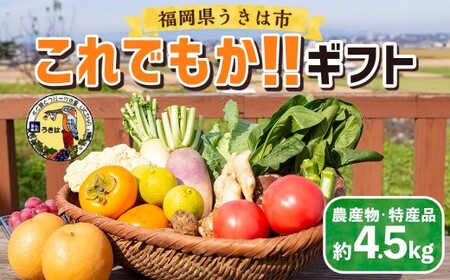 道の駅 うきは これでもか!! ギフト (新鮮な農産物・特産品 約4.5kg) 野菜 ベジタブル 果物 くだもの フルーツ 農産物 特産品 特産 新鮮 フレッシュ 朝採れ 詰め合わせ 詰合せ セット ミックス お取り寄せ 福岡県 うきは市