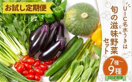 [お試し定期便]UIC 名水うきは 旬の滋味(じみ)野菜セット (ひと月1箱×2か月=計2回)