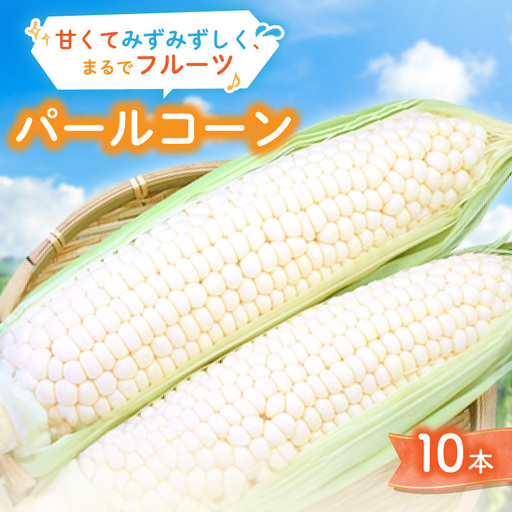 まるでフルーツ 村田農園のパールコーン 10本[大人気の白いとうもろこし(ホワイトコーン)]_野菜 とうもろこし トウモロコシ_[配送不可地域:離島]