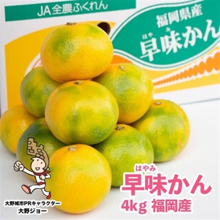 【先行受付】福岡限定!オリジナルブランドみかん「早味かん」約4kg(大野城市)_果物・フルーツ みかん  ミカン 蜜柑_【配送不可地域：離島】【1091056】