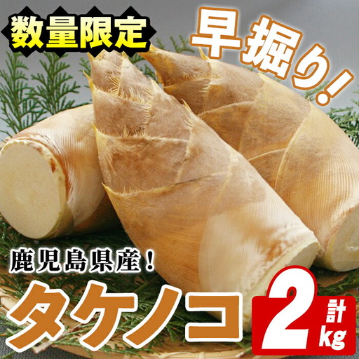 [先行予約受付中!2027年3月以降順次発送予定]鹿児島県産!早掘りタケノコ(2kg) 国産 野菜 筍 たけのこ 竹 春 野菜 旬[鹿児島いずみ農業協同組合]akn018-23