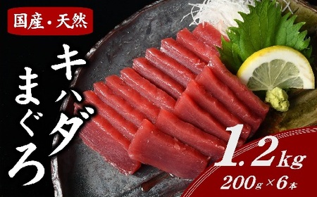 国産キハダマグロ 冷凍短冊 約1.2kg [まぐろまぐろまぐろまぐろまぐろまぐろまぐろまぐろまぐろ][1.5-8]