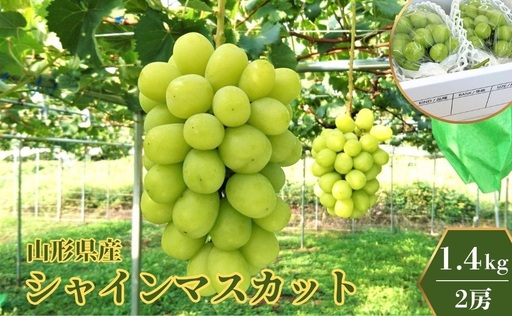 ぶどう（シャインマスカット）１.４ｋｇ　0009-2607